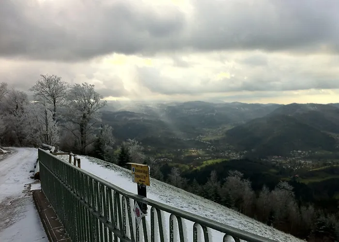 Aqua Aurelia Suitenhotel An Den Thermen 4* באדן-באדן