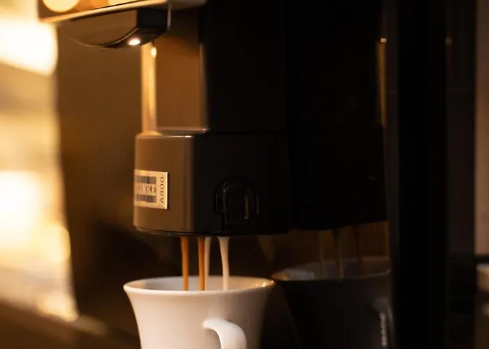 아쿠아 아우렐리아 스위텐호텔 안 덴 테르멘 S 호텔 바덴바덴