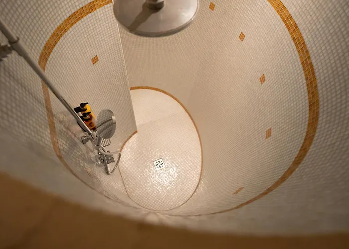 아쿠아 아우렐리아 스위텐호텔 안 덴 테르멘 S 호텔 바덴바덴